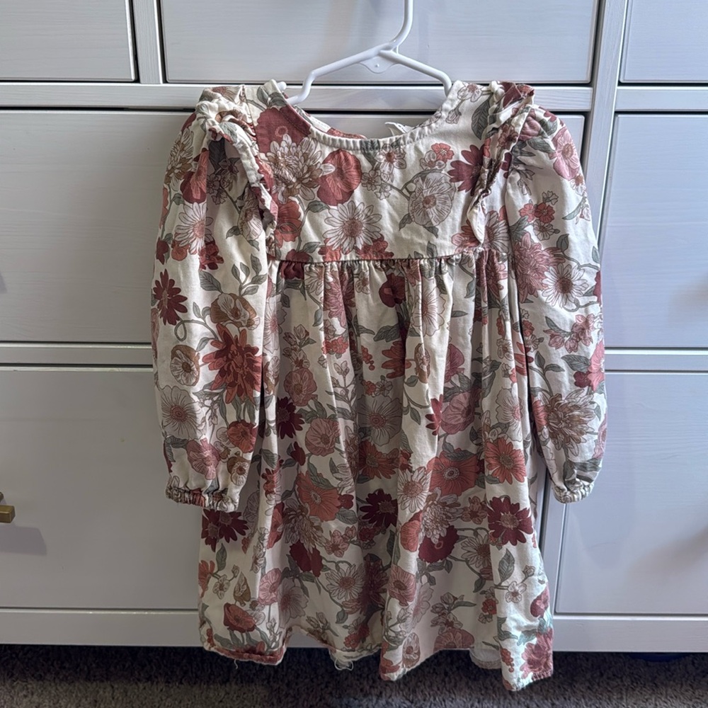 Cotton On Kids Toddler Girl Fall Floral Dresss (3T)